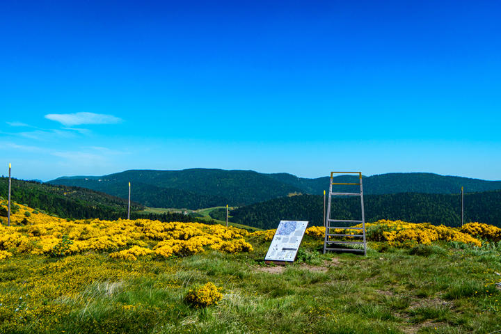 Ligne de partage des eaux Les mires - Œuvre de Gilles Clément
