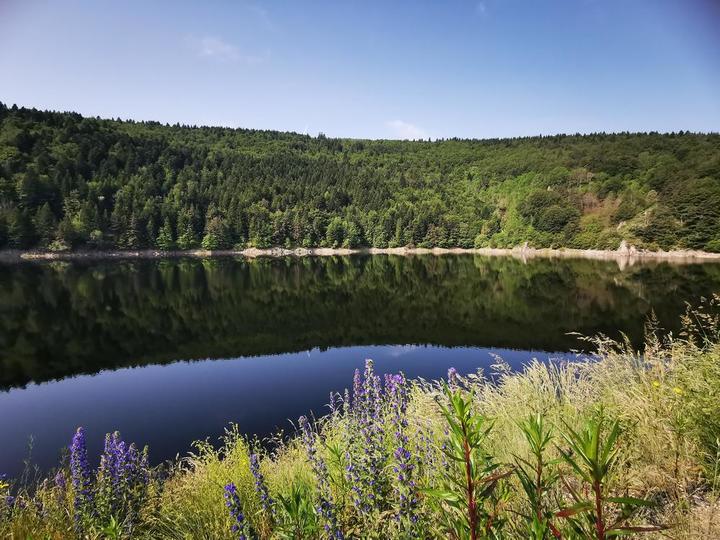Lac de La Palisse Vue du lac de La Palisse