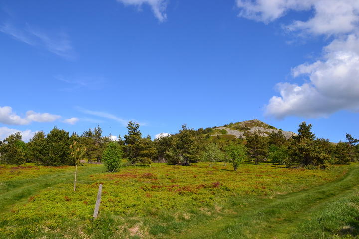 sentier d'interprétation montivernoux