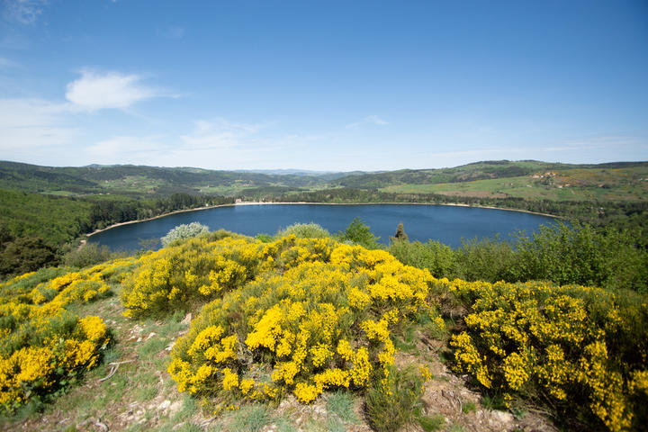Le lac d'Issarlès Vue du lac