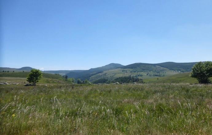 Panorama du gîte l'amour est dans le pré