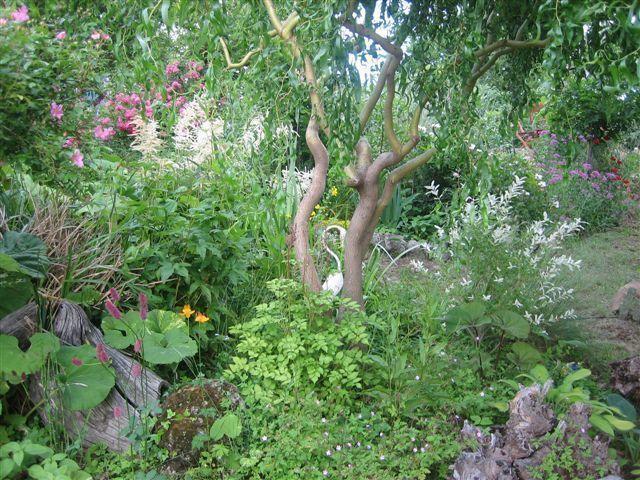 le_jardin_de_nelly_rocles le_jardin_de_nelly_rocles