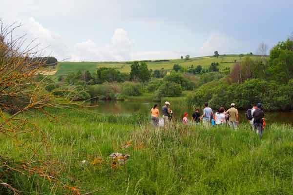 2014-juin-12---Sortie-ANSATESE--Narces-web-(91)