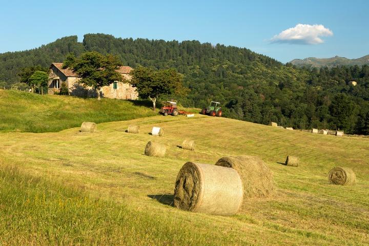 Saint-Cirgues-de-Prades - Fauchage à Gensac ©S.BUGNON Saint-Cirgues-de-Prades - Fauchage à Gensac ©S.BUGNON