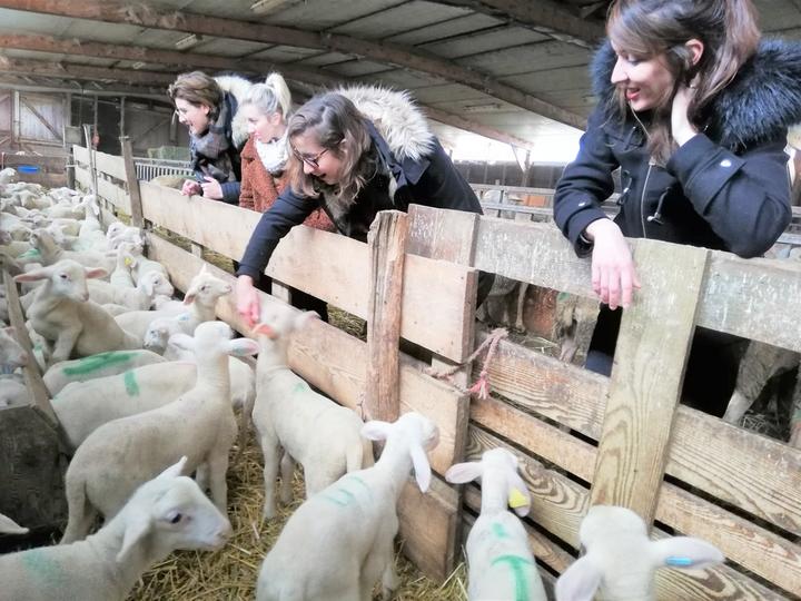 Visite à la ferme