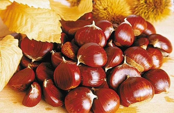 En automne, le règne de la chataigne débute avec des animations dans l'ensemble des villages ardéchois. Les castagnades.