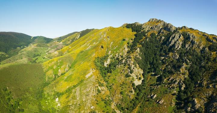 La Souche - Rocher d'Abraham avec genêts purgatifs ©S.BUGNON La Souche - Rocher d'Abraham avec genêts purgatifs ©S.BUGNON