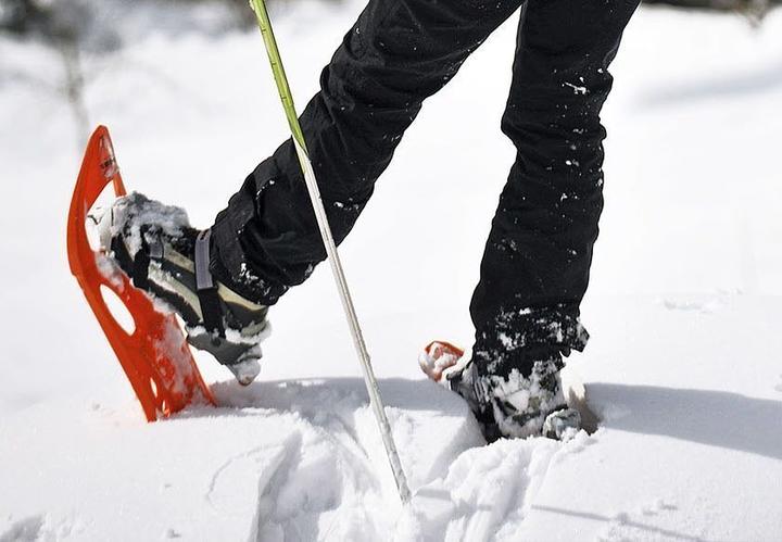 Sebastien Messager - Raquettes Sebastien Messager - Raquettes