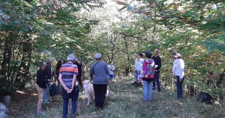 C17E7FF7-632E-4C9E-A5E8-B74DC5FBC63A.jpeg Bain de forêt sur Sablières