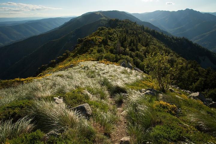 La Souche - Le Mont Aigu - Massif du Tanargue ©S.BUGNON La Souche - Le Mont Aigu - Massif du Tanargue ©S.BUGNON