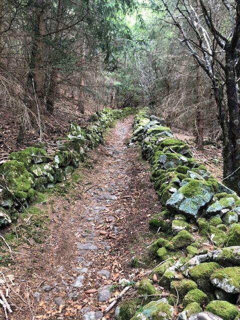 chemin de rando à 10 km