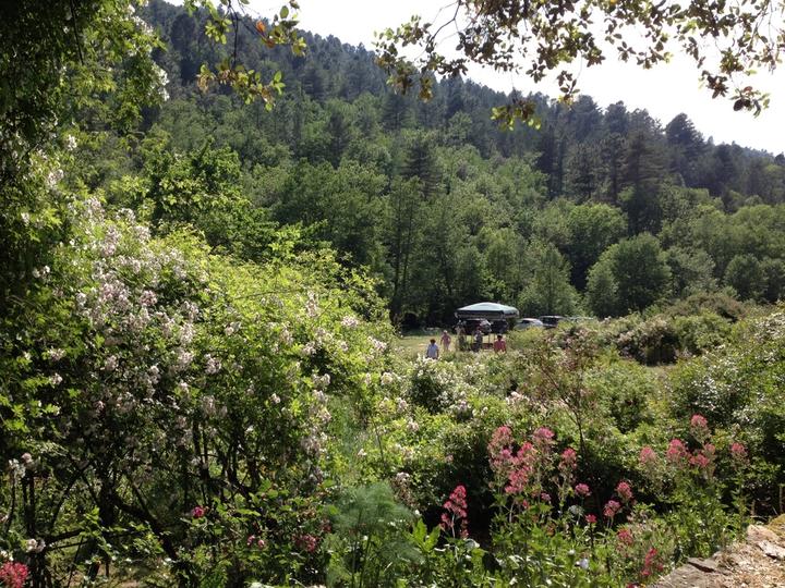 Roseraie de Berty (Largentière - Ardèche - France) Roseraie de Berty (Largentière - Ardèche - France)