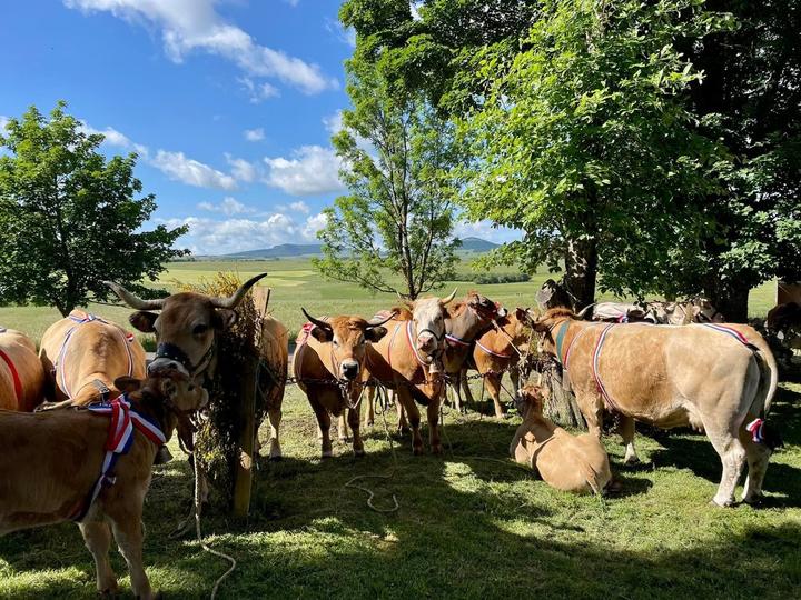 Fête du Fin Gras Fête du Fin Gras