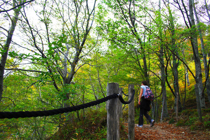 20190926-Péreyres- Sortie Ray Pic ©Maëva Lopez (42) 20190926-Péreyres- Sortie Ray Pic ©Maëva Lopez (42)