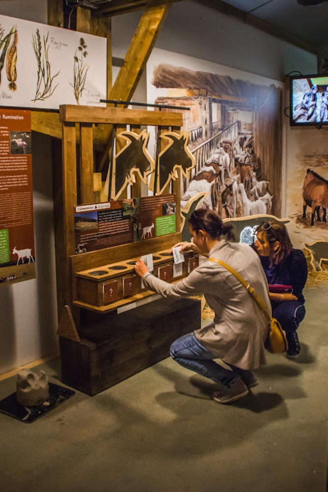 Terra Cabra - Musée de la chèvre et du picodon