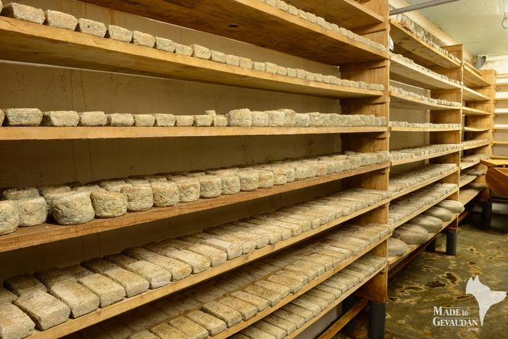 DSC_3498 (Copier).JPG la cave d'affinage