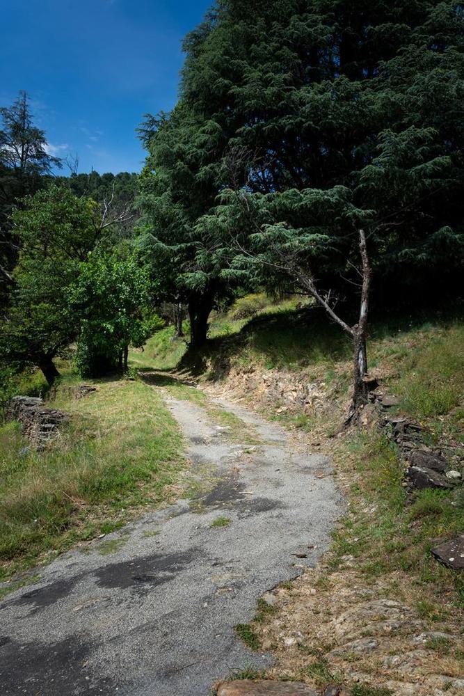 Route d'accès au parking du gîte
