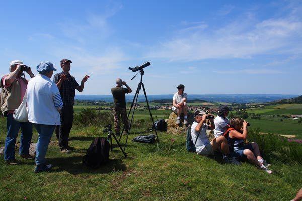 sortie-oiseaux-Narces-web-5-18-07