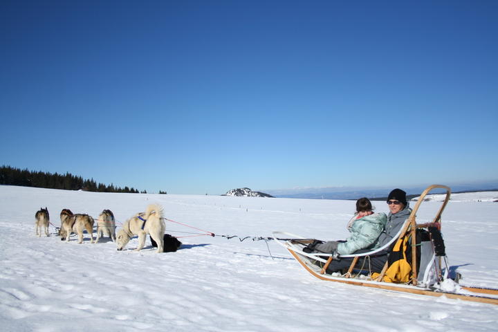 act_animnature_lesestables