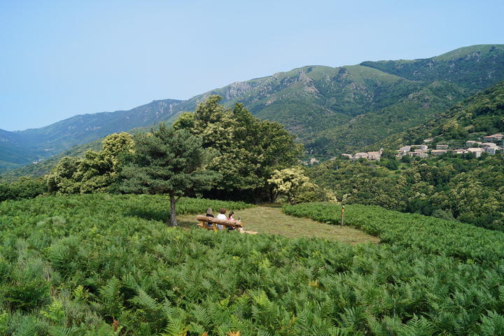 Vue sur la village de Laboule