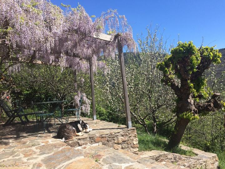 chambre la ferme du fourre sablieres