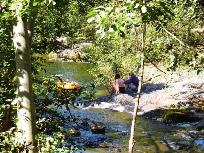 Les rives de la Besorgues au moulin de Charrier