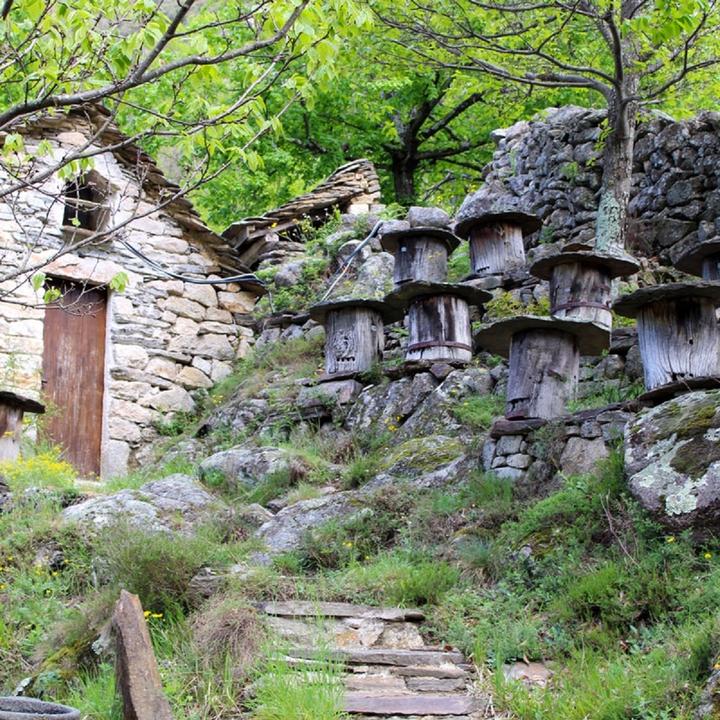 Photo Ferme3 Photo Ferme3