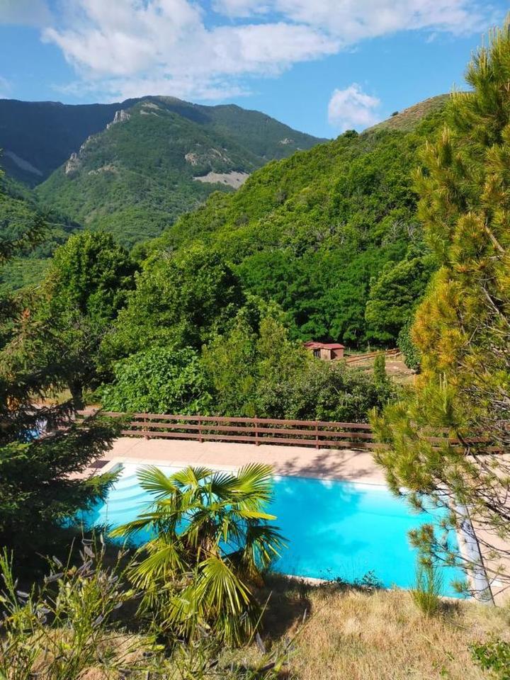 La piscine partagée en été.