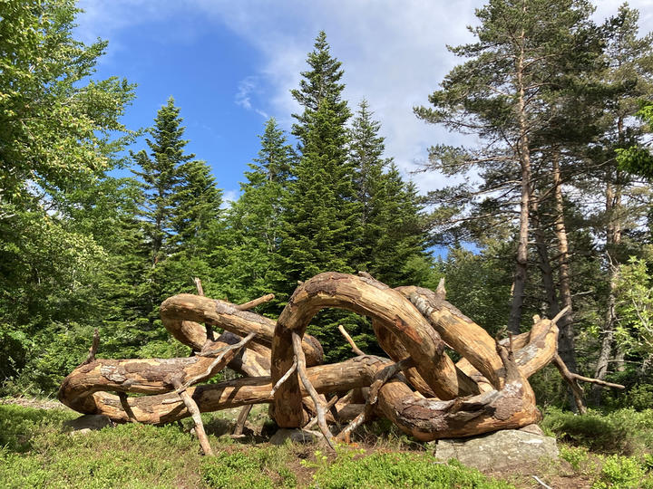 8ème œuvre du Partage des eaux 8ème œuvre du Partage des eaux