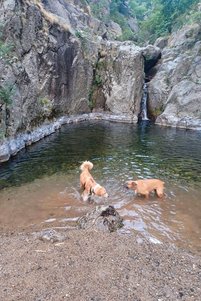 baignade à côté du gîte