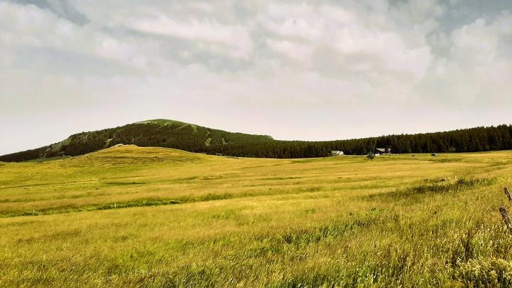 maisonforestiere10 Maison_Forestière