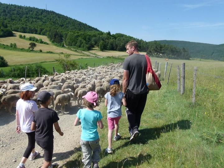 Transhumance vers le Lozere