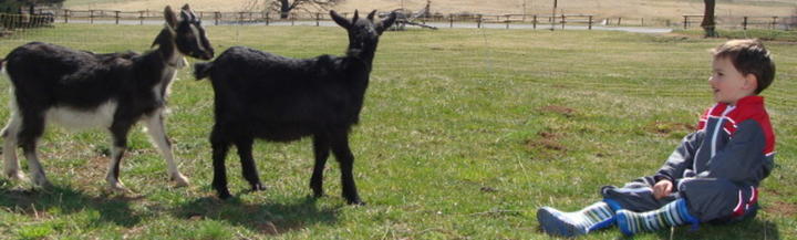 Ferme de Montmoulard Ferme de Montmoulard