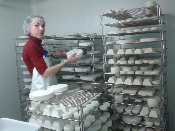en fromagerie