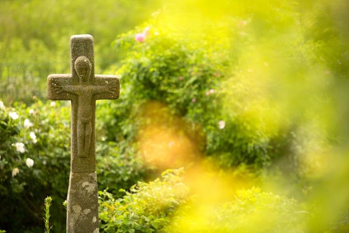 Roseraie de Clastres Roseraie de Clastres