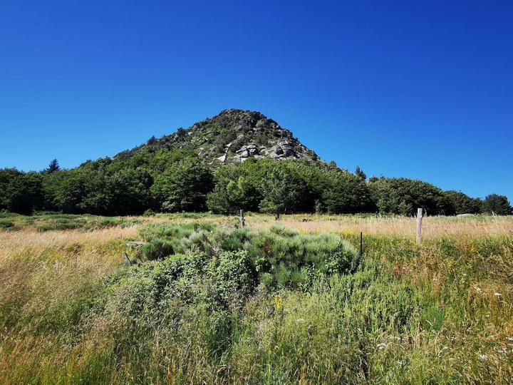 Le Mont de Gerbier Vue du mont Gerbier de Jonc