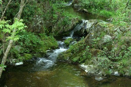 Gîte Carpe Diem à Blaunac (Joannas, Ardèche) Gîte Carpe Diem à Blaunac (Joannas, Ardèche)
