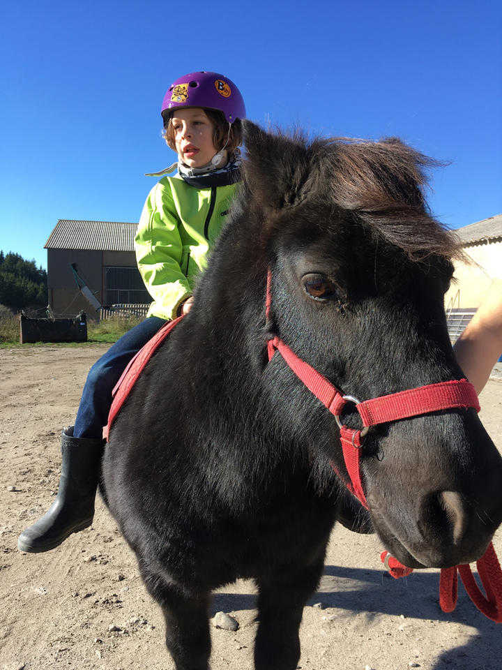 visite de ferme visite de ferme