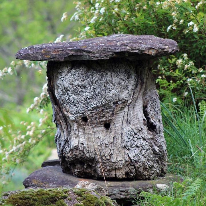 Photo ruche Photo ruche