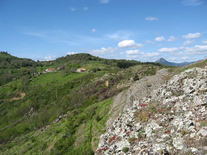 La Vallée des Tuiliers La Vallée des Tuiliers