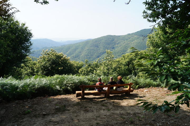 Point de vue - Flanerie gourmande