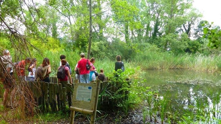 Jaujac - Mare aux libellules et visiteurs PNR ©OTASV Jaujac - Mare aux libellules et visiteurs PNR ©OTASV