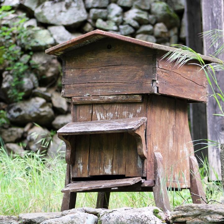 Photo Ruche2 Photo Ruche2