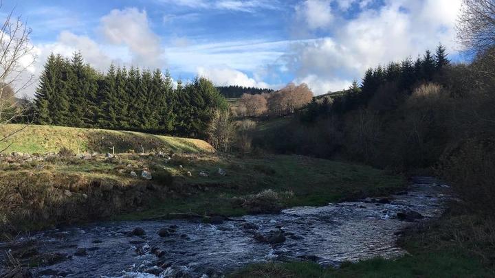 Gite les toits de chaume Gite les toits de chaume