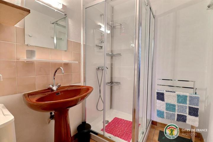 Salle d'eau avec douche et vasque