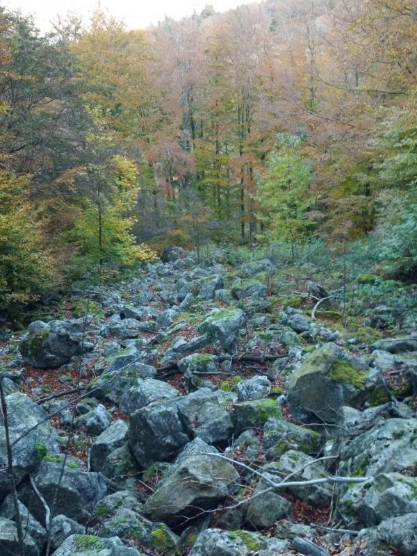 Au détour d'une randonnée, toujours une photo à prendre.