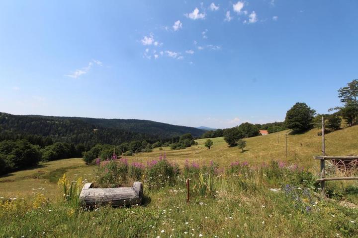 Superbe vue sur les champs et monts