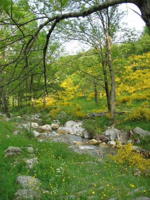 Au bord de la Ribeyre dans le parc du Martinel