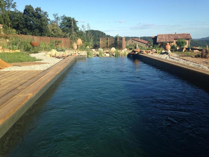 La piscine naturelle à partager avec les propriétaires