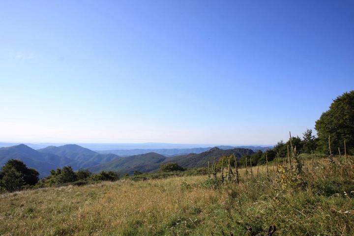 Burzet - Les hauteurs de la tourbière ©o.mathis Burzet - Les hauteurs de la tourbière ©o.mathis